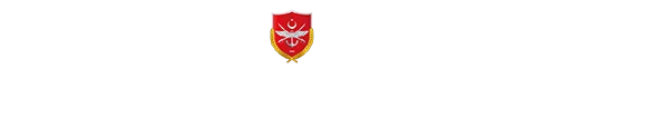 geziciuzem